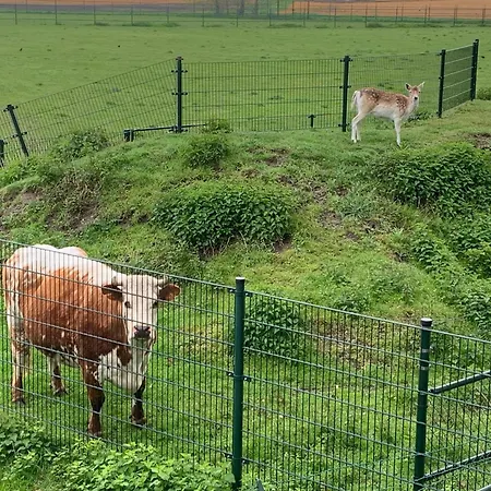 Onder het dak van Brabant-3